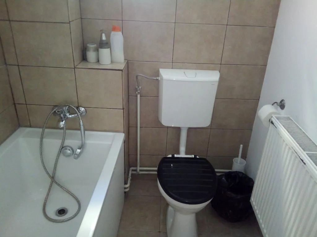 Apartment Dacia Boutique Residence Bucharest