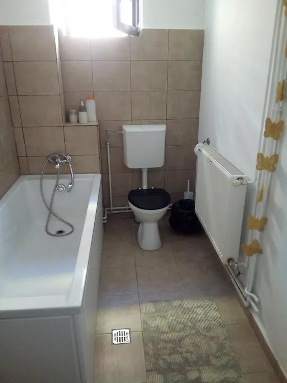 Dacia Boutique Residence Bucharest Apartment